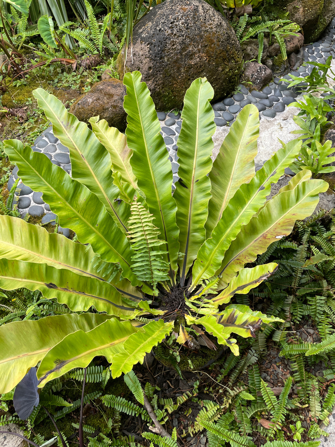 SKUs and what they do