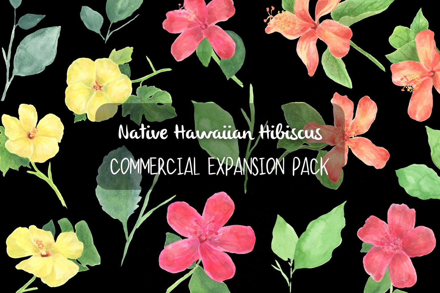 Hawaiian Hibiscus Clipart