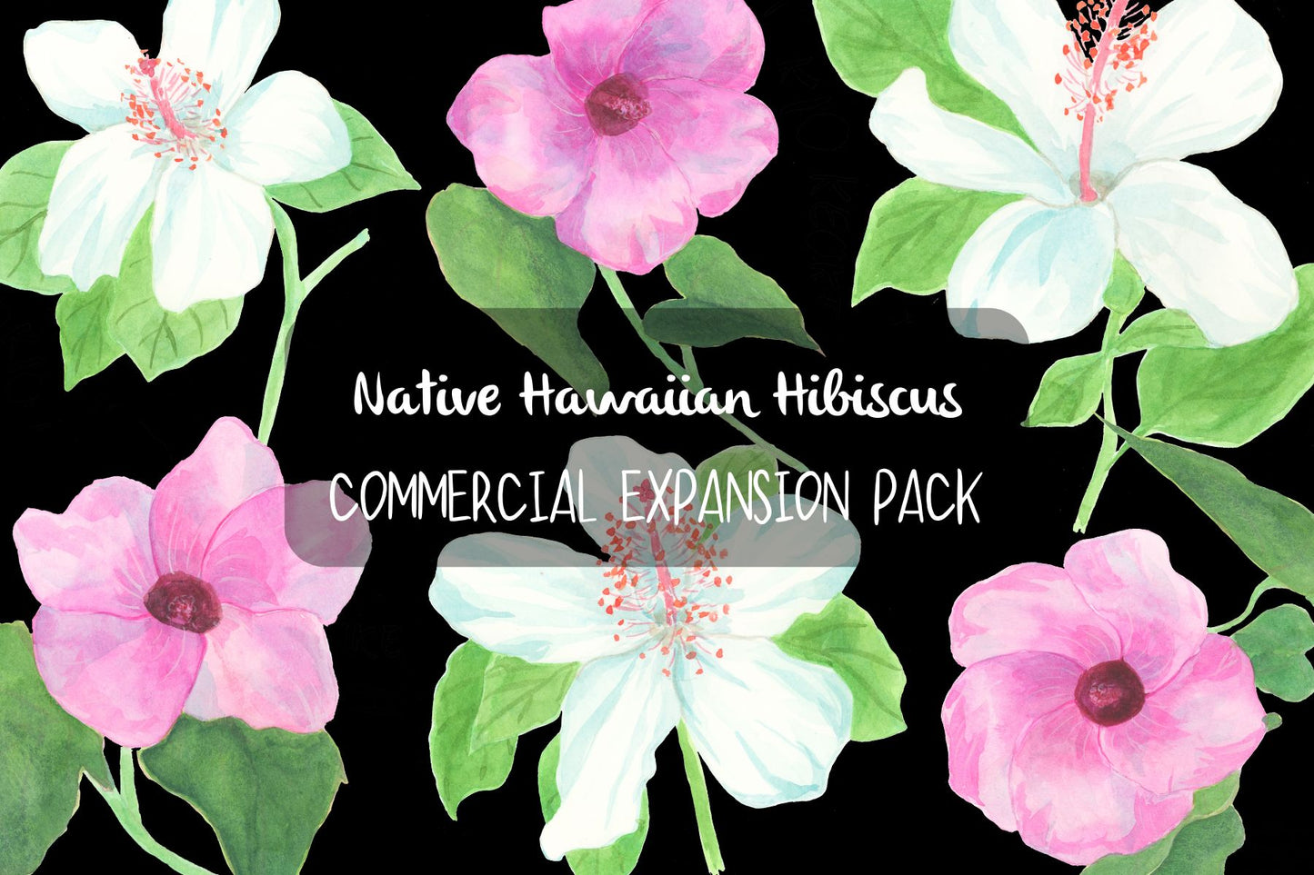 Hawaiian Hibiscus Clipart