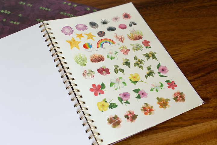 Pakalana Rain Notebooks