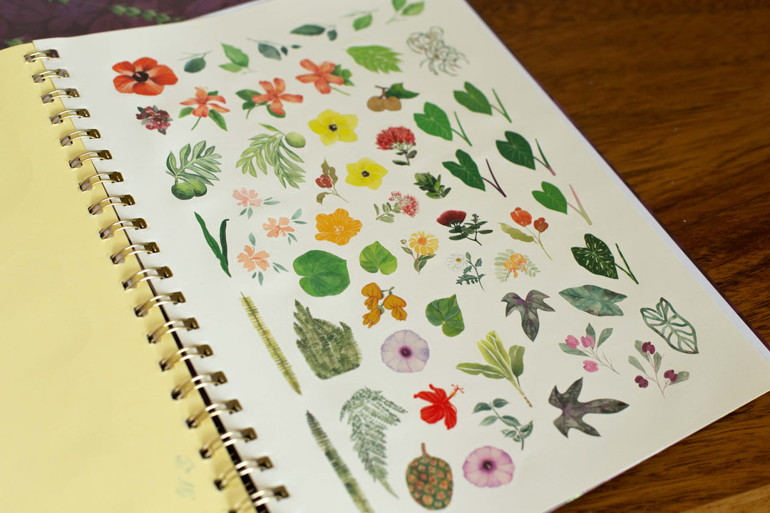 Pakalana Rain Notebooks