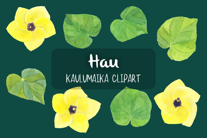 Hau Clipart