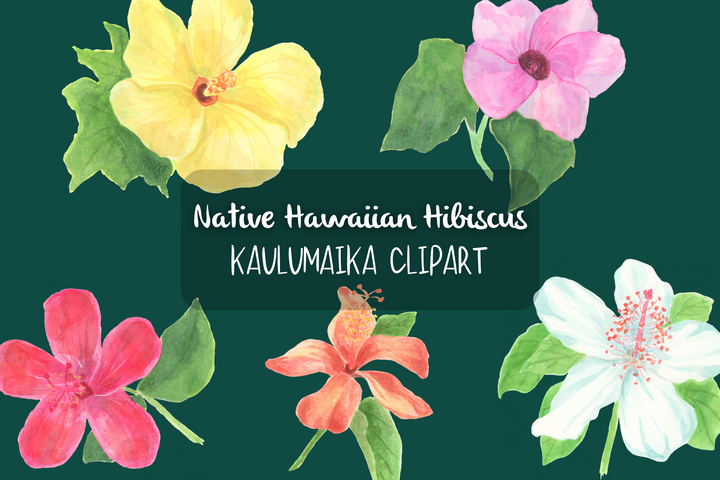 Hawaiian Hibiscus Clipart