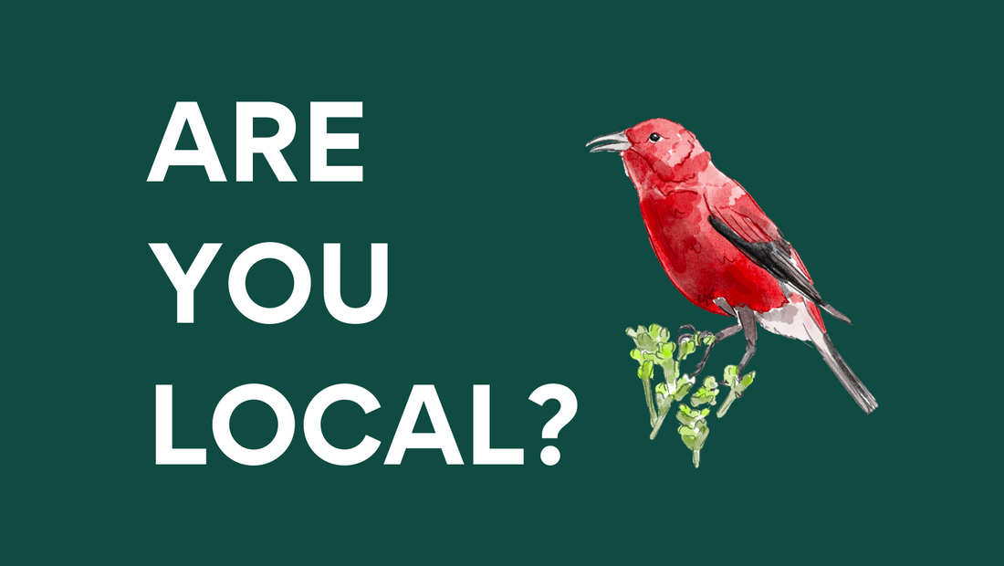 What it means to be Local