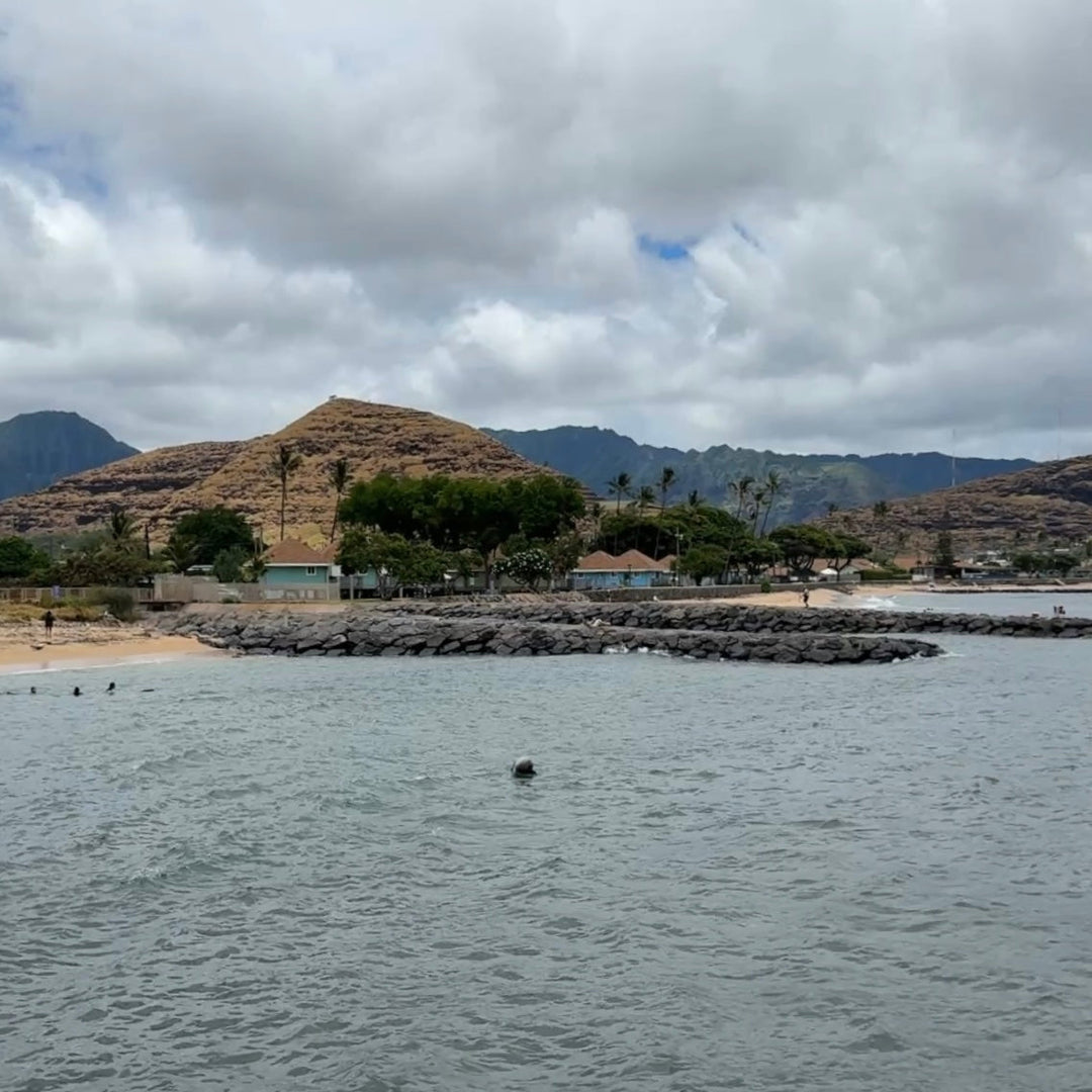 A Beautiful Day on the Waianae Coast