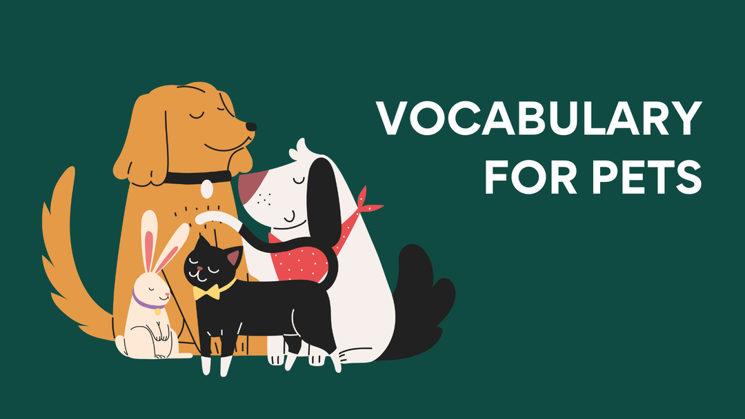 Vocabulary for Pets