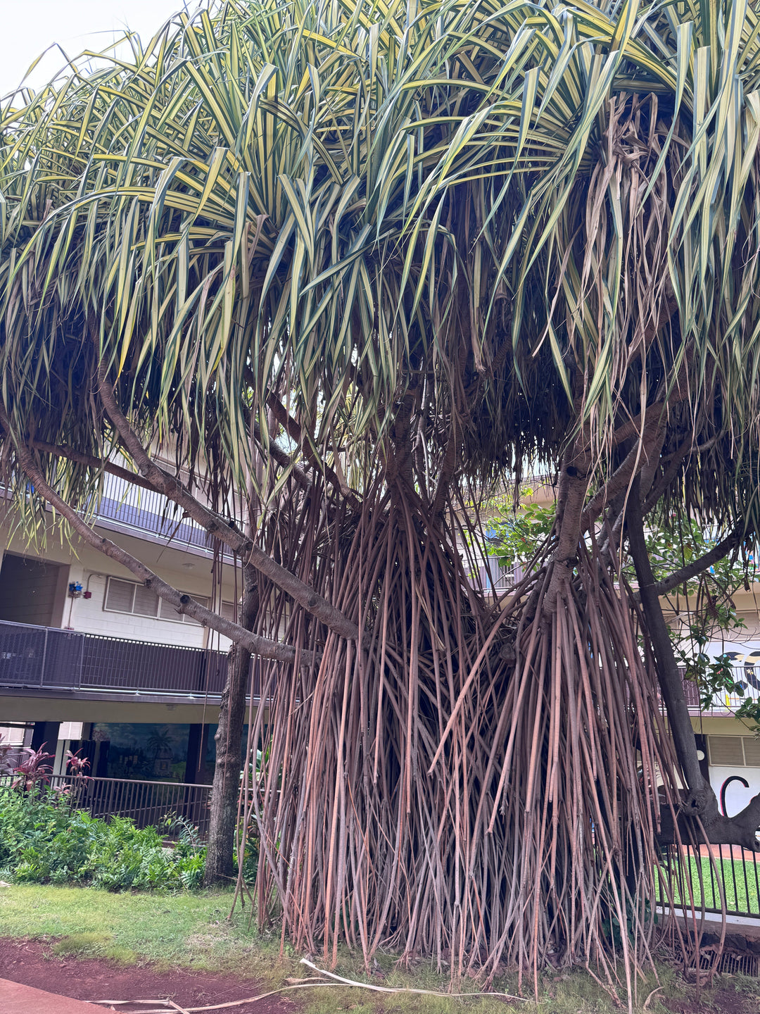 Being Successful for Generations to Come