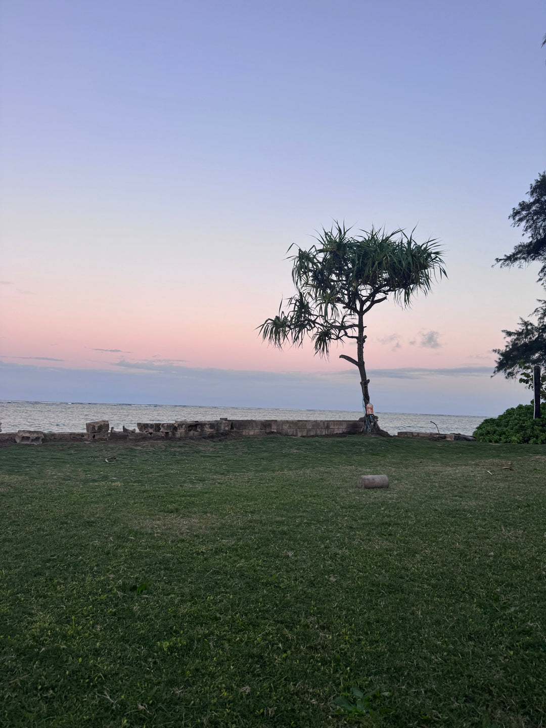 Why I Do Hawaiian at Home