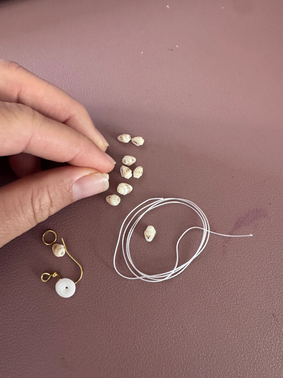 Meeting your Hawaiian Language Mentors