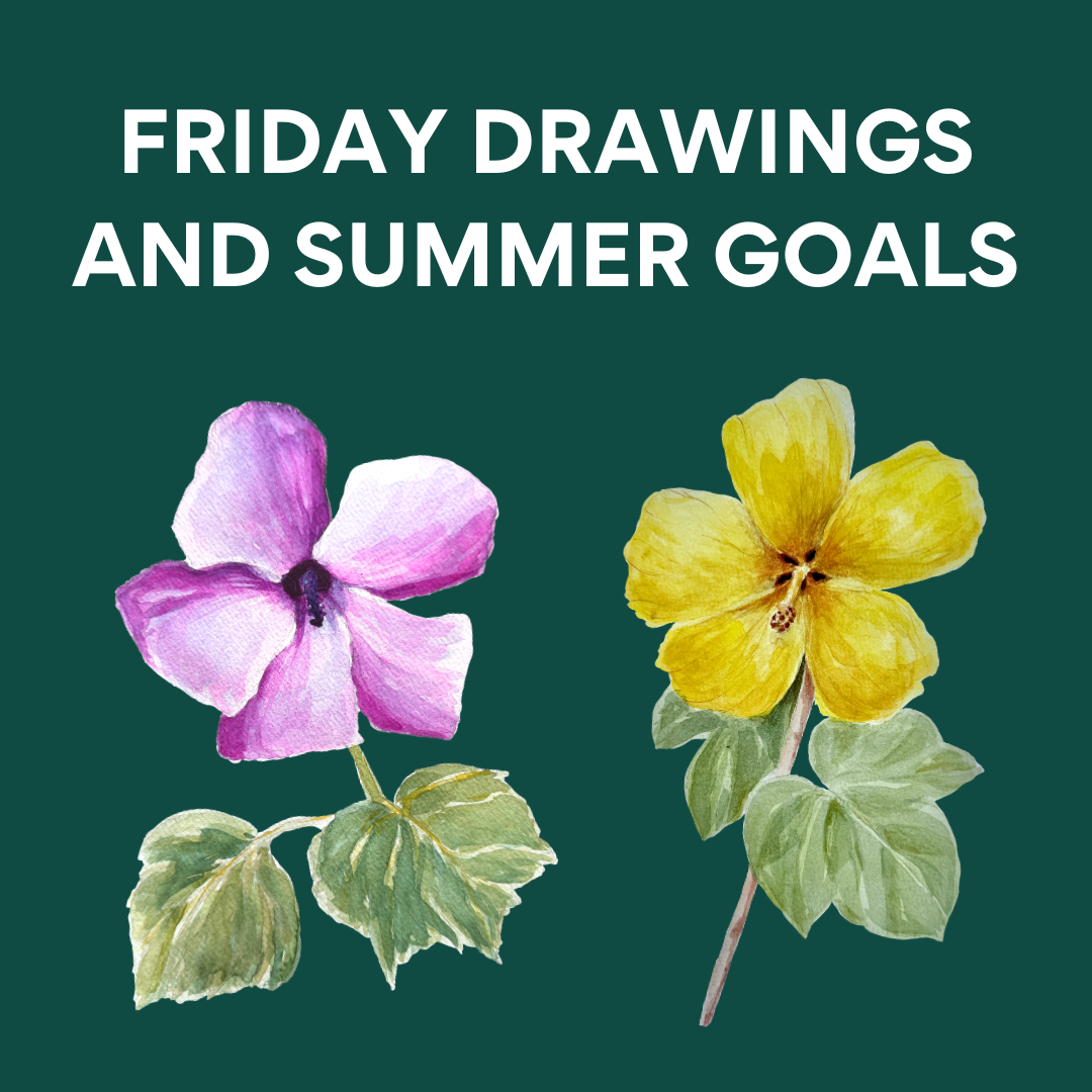 Friday Drawings and Summer Goals