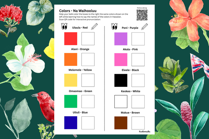 Na Waihooluu Handout